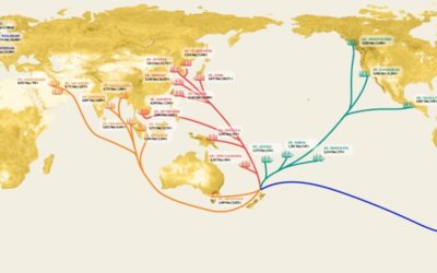 Moving New Zealand to Sail Freight, Part 1: Fruits and Veg