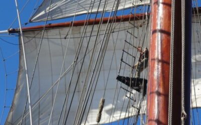 Why Sails are Back in Vogue