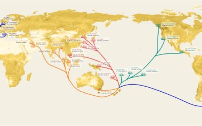 Moving New Zealand to Sail Freight, Part Two: Timber